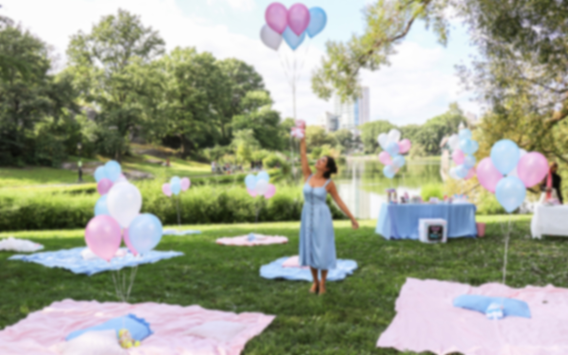 Gender Reveal Party, New York